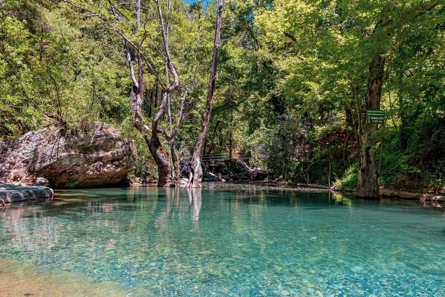 Crystal waters in the forest