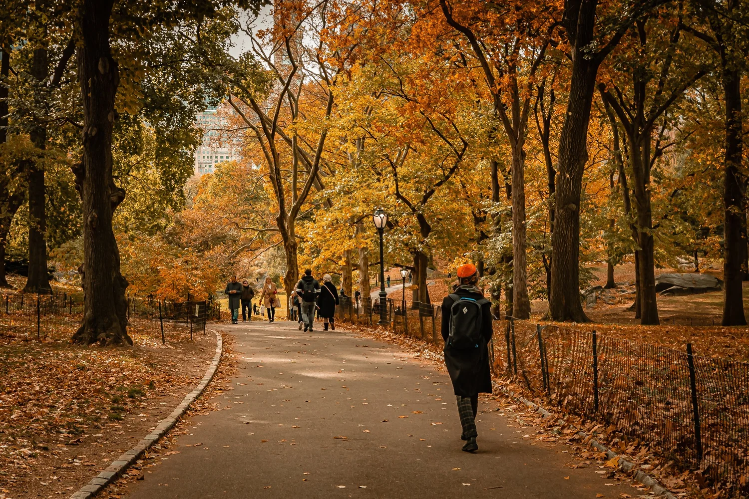 Autumn in Central Park